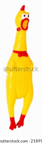 toy rubber yellow chicken isolated on white background