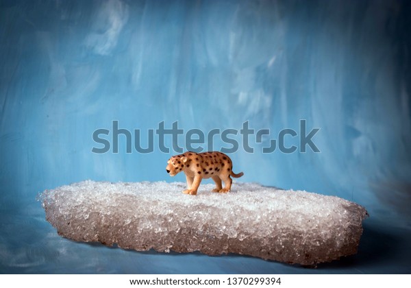 Toy Saber Tooth Tiger On Iceberg Stock Photo Edit Now - 