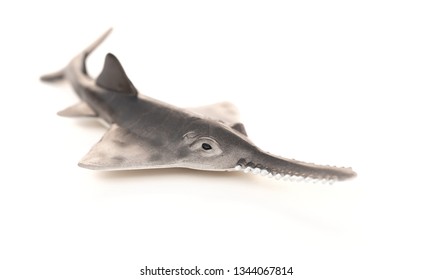 Toy Saw Shark Model On White Background