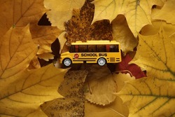 Toy School Bus On Fallen Autumn Leaves. Back To School Concept