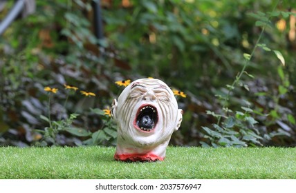 Toy Severed Head On The Lawn