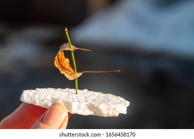 A Toy Ship Made Of Styrofoam And A Fallen Leaf Instead Of A Sail. The Ice Is Melting. Hello, Spring!