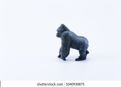 roaring silverback gorilla