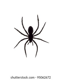 Toy Spider Isolated On White Background