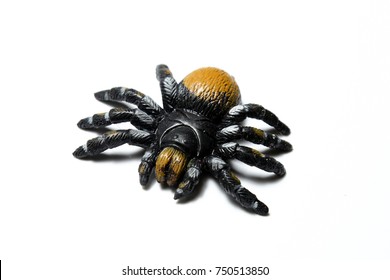 Toy Spider Tarantula Isolated On White Background
