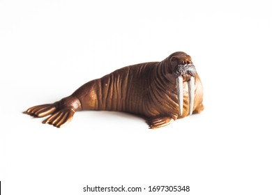 Toy walrus isolated on white background.