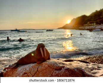 A Toy Walrus Resting On A Rock On The Beach