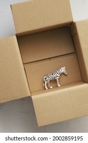 Toy Zebra Animal In Brown Cardboard Box, Gift, Delivery Or Captive Animal Concept