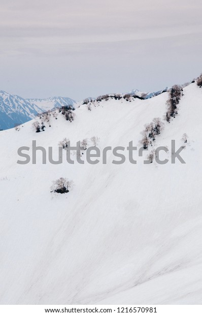 Toyama,\
Japan - Great nature view of snow mountain and dry tree in Tateyama\
Kurobe Alpine Route, view from Daikanbo\
station
