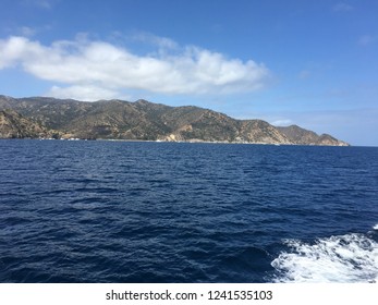 Toyon Bay, Catalina