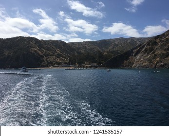 Toyon Bay, Catalina