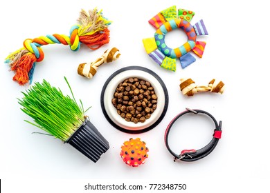 Toys For Cat Near Dry Food And Grass In Pot On White Background Top View