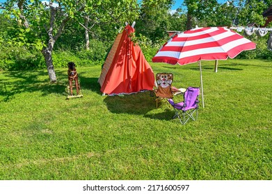 Toys For Child On Lawn In Back Garden