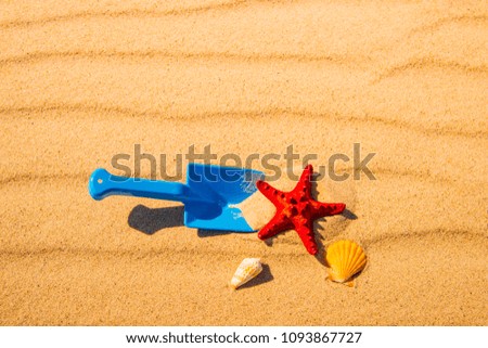 Shovel and starfish on the beach