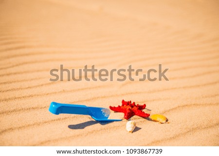 Schaufel und Seestern am Strand