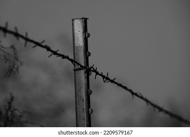 T-post And Barbed Wire Fencing On Farm In Black And White Closeup.