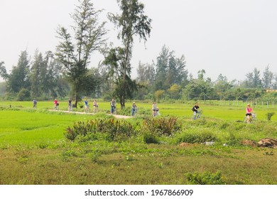 Tra Que, Vietnam - March 5 2019: Tourists on bicycles enjoy a leisurely bike ride in the rural Vietnamese countryside near the village Tra Que and Hoi An.