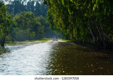 Tra Su Forest, An Giang, Vietnam