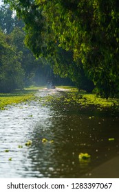 Tra Su Forest, An Giang, Vietnam