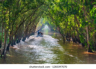 Tra Su Forest, An Giang, Vietnam