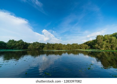 Tra Su Forest, An Giang, Vietnam