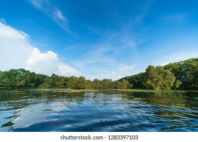 Tra Su Forest, An Giang, Vietnam