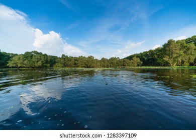 Tra Su Forest, An Giang, Vietnam