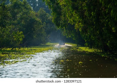 Tra Su Forest, An Giang, Vietnam