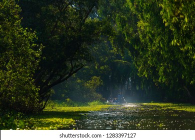 Tra Su Forest, An Giang, Vietnam