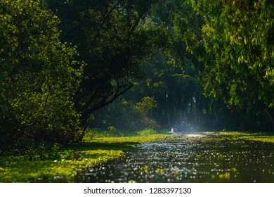 Tra Su Forest, An Giang, Vietnam