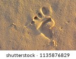 A trace from the foot of an unknown creature on the sand