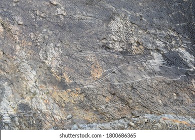 Trace In Ichnite Left By The Goniopholis Dinosaur. Icnite Site (dinosaur Footprints) La Virgen Del Campo, Enciso.