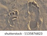 Trace from the leg of an unknown creature, leprechaun, goblin, troll and human trail