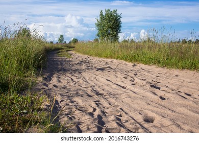 Traces Of Deer On A Sandy Road In The Forest. Horse Shoe Print On Sandy Road With Tyny Stones And Pebbles