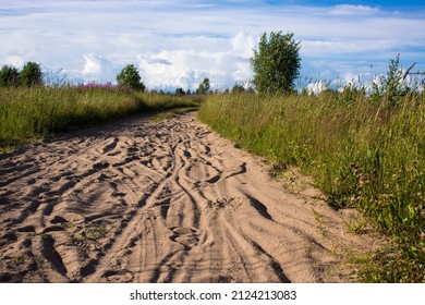 Traces Of Deer On A Sandy Road In The Forest. Horse Shoe Print On Sandy Road With Tyny Stones And Pebbles