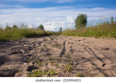 Traces Of Deer On A Sandy Road In The Forest. Horse Shoe Print On Sandy Road With Tyny Stones And Pebbles