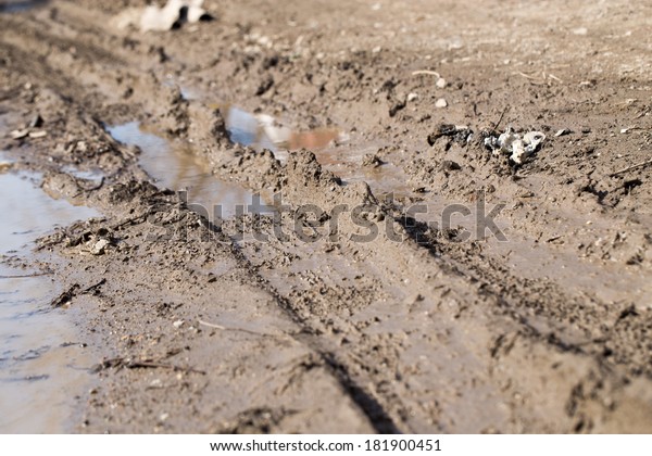 traces of dirt
cars