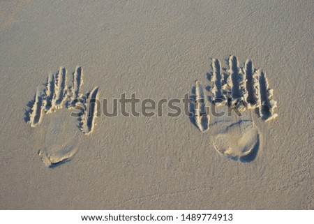 Traces of human hands on sand sunrise background sea, beach dawn