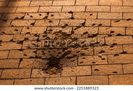 traces from a mine explosion after impact on a sidewalk in a park made of orange tiles and traces from fragments in Ukraine during the day in the city