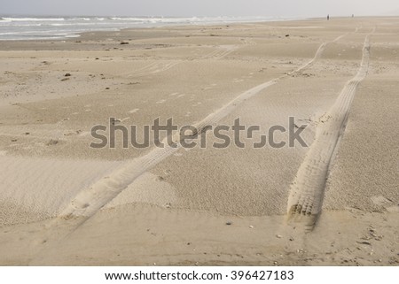 Traces in the North Sea Beach of Terschelling
