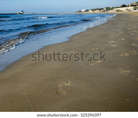Traces on the beach, coastline in autumn