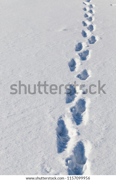 traces of the past person on deep snow in the\
winter season, on the snowdrifts there were large holes from the\
tracks, closeup