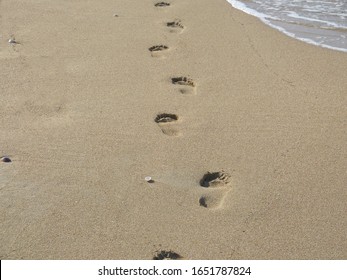 Spuren Im Sand Bilder Stockfotos Und Vektorgrafiken Shutterstock