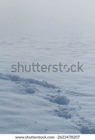 Traces in snow, disturbed snow surface