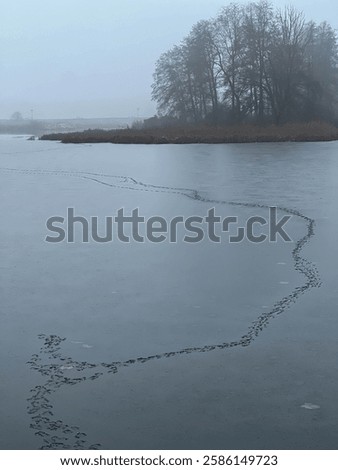 Similar – Image, Stock Photo layers of ice. Walking across river bank.