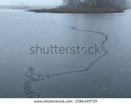 Similar – Image, Stock Photo layers of ice. Walking across river bank.