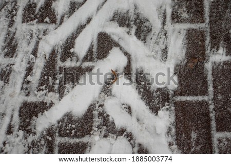 Similar – Image, Stock Photo tropic Snow Snow layer