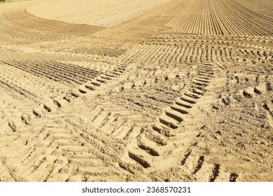 traces of tractor wheels in the sand, traces of a tractor, a tractor plows a field, autumn work in a field, tractor in a field, dry earth with traces, traces of a car, relief, soil in  - Shutterstock ID 2368570231