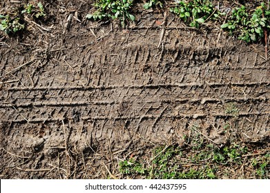 Traces From The Tread Of Car On Ground, Tire Tread On Wet Ground As A Result The Grass Dies