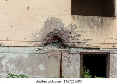 traces of war, the location of the projectile
